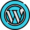Web-Designing-Wordpress-Website